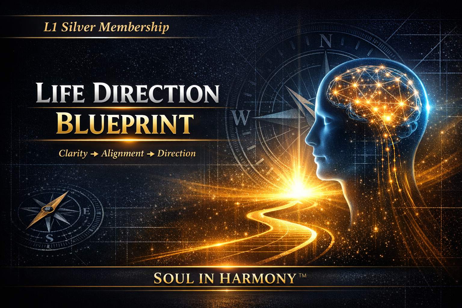 Life Direction Blueprint — Clarity, Alignment, Direction. L1 Silver Membership by Soul In Harmony.